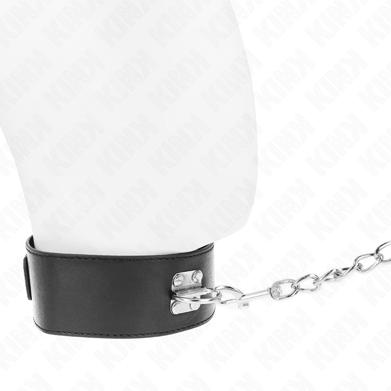 KINK - BASIC MODEL COLLAR WITH LEASH 65 CM MODEL 0 5