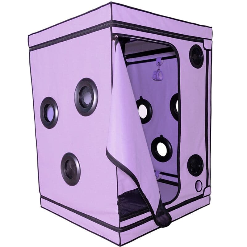 SECRET DOME - KINK CLUB CABIN SCANDALE PURPLE 2