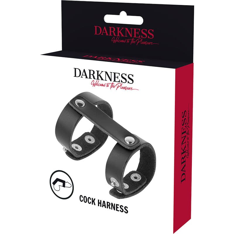 DARKNESS - LEATHER ADJUSTABLE PENIS AND TESTICLE RING 5