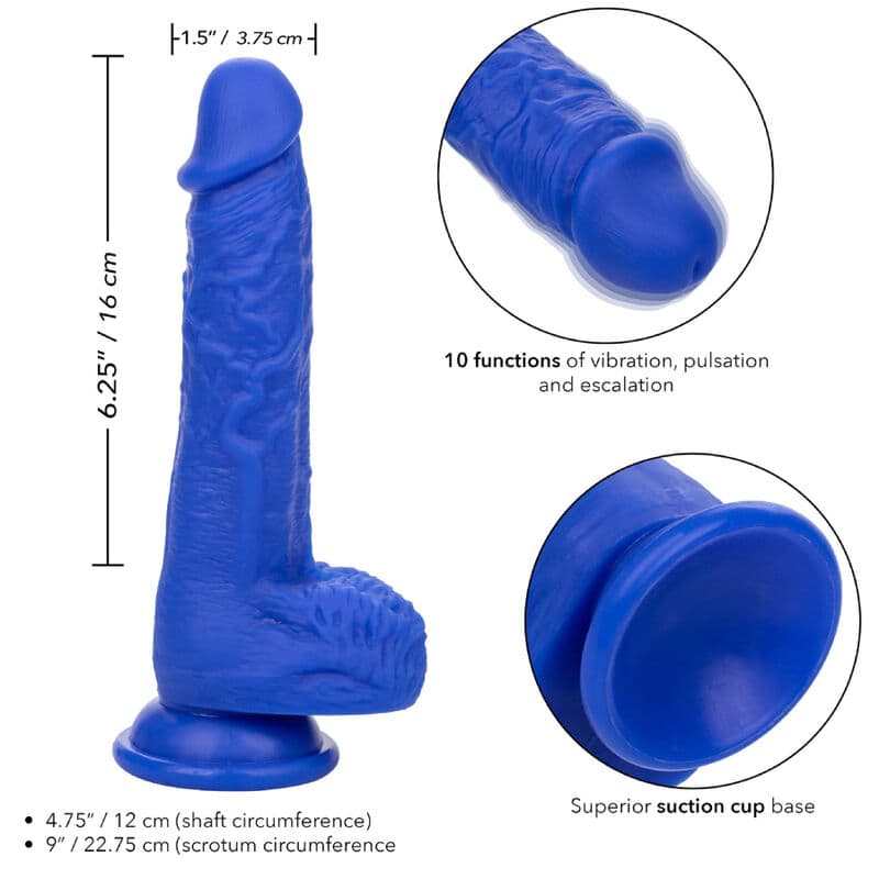 CALEXOTICS - ADMIRAL SAILOR REALISTIC DILDO VIBRATOR BLUE 4
