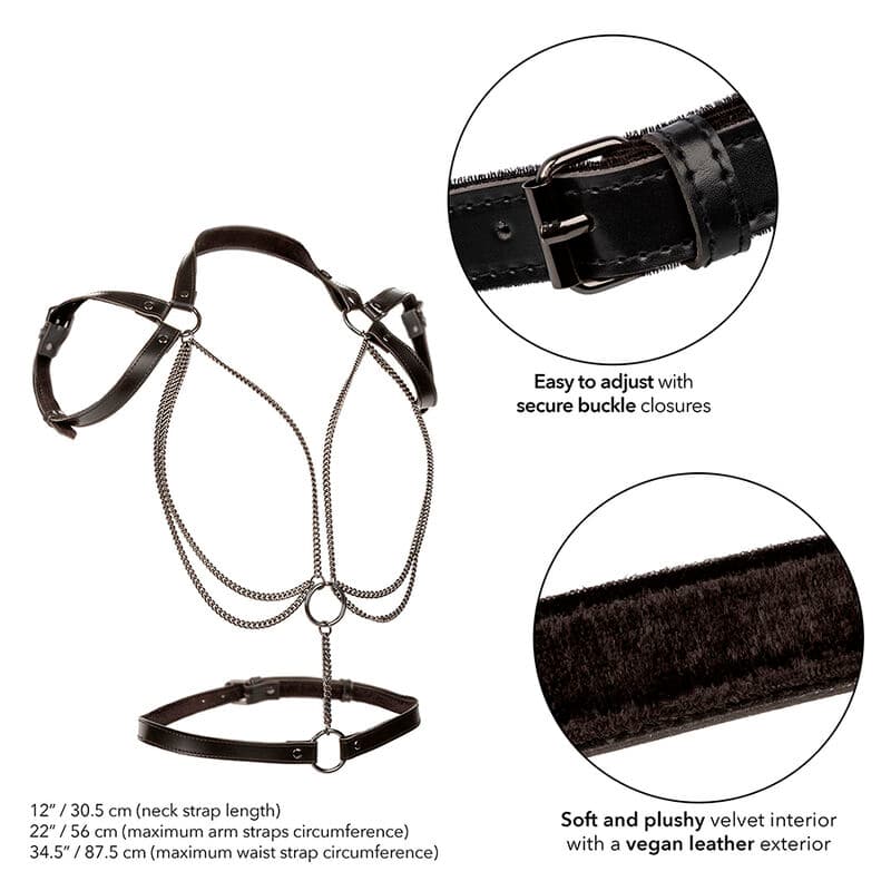 CALEXOTICS - EUPHORIA MULTICHAIN HALTER HARNESS PREMIUM 5