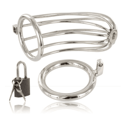 METAL HARD - BIRD CHASTITY RING CAGE 2