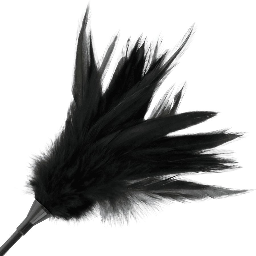 DARKNESS - BLACK FEATHER WHIP 5