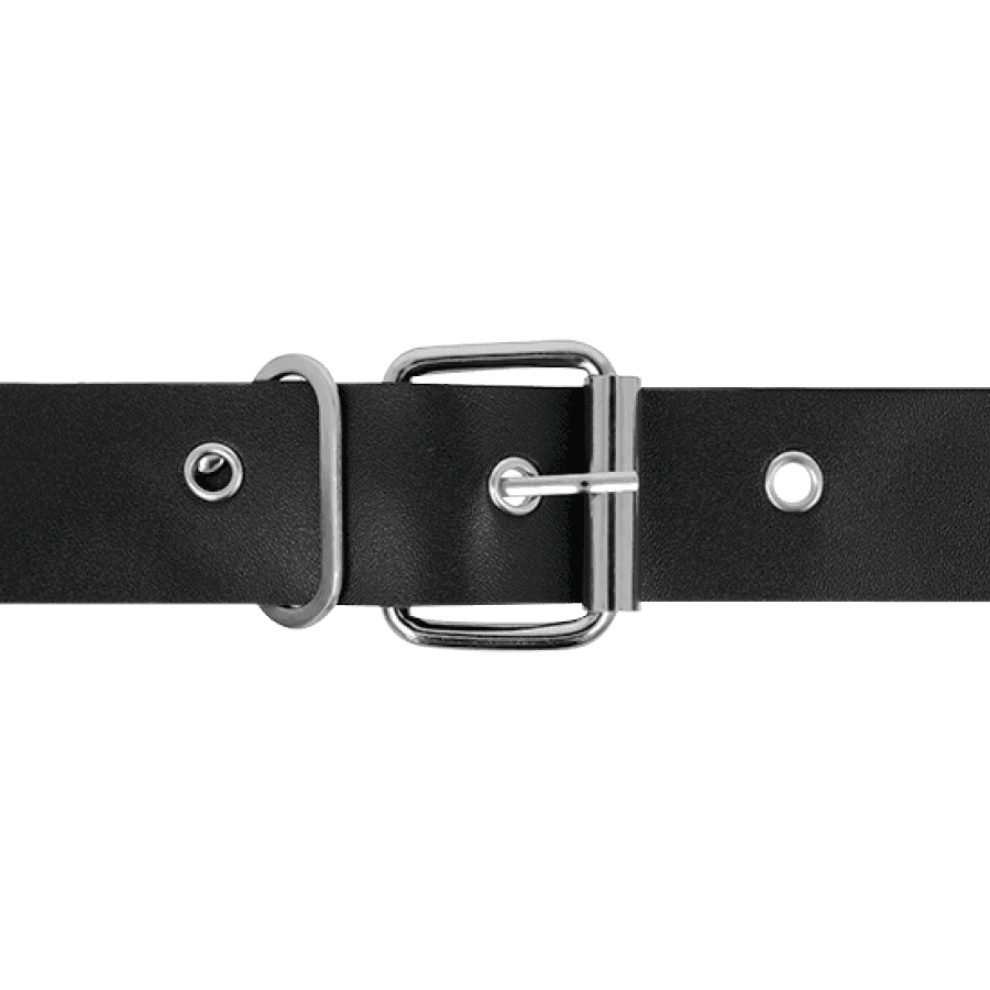 HARNESS ATTRACTION - RNES TAYLOR DELUXE 18 CM -O- 4.5 CM 4