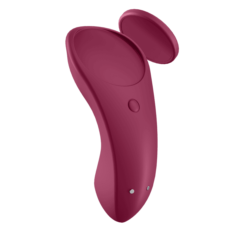 SATISFYER - SEXY SECRET PANTY 4